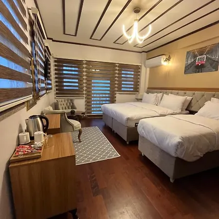 מלון Palmera Art House *