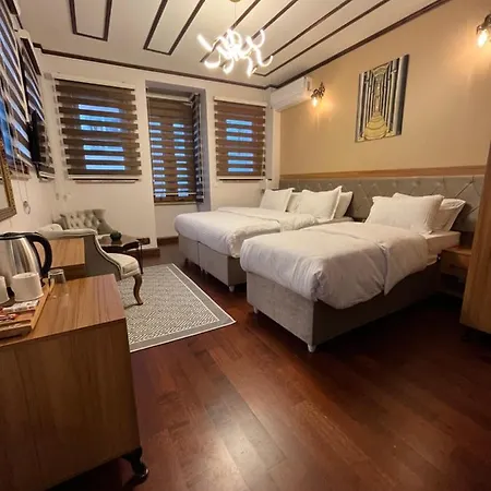 מלון Palmera Art House