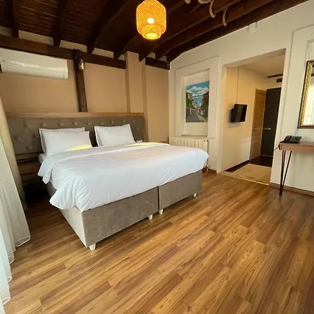 Palmera Art House *