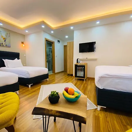 Palmera Art House איסטמבול