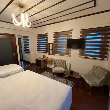 Palmera Art House *