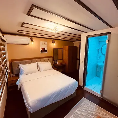 Hotel Palmera Art House *
