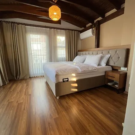 Palmera Art House