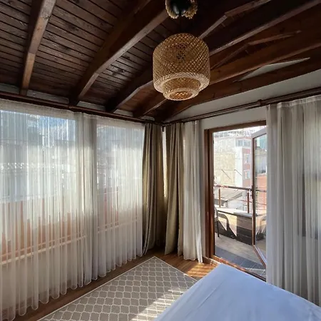 Palmera Art House *