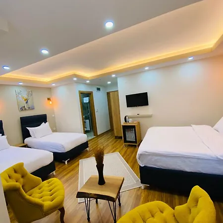 Palmera Art House * Estambul
