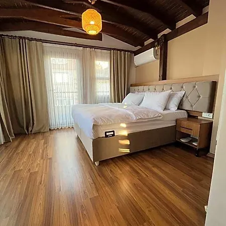 Palmera Art House *