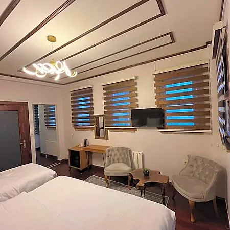 Palmera Art House *