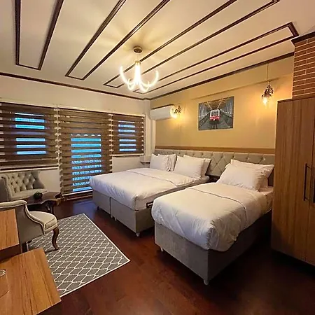 Palmera Art House *