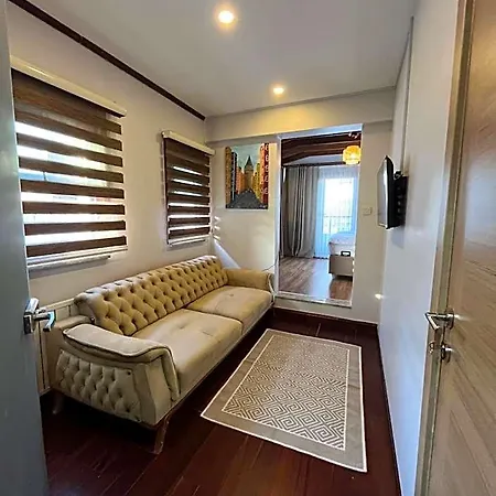 Palmera Art House * Provincia di Istanbul