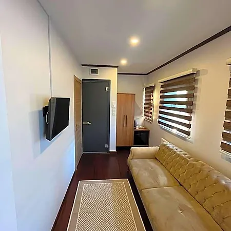Palmera Art House Hotel Istanboel