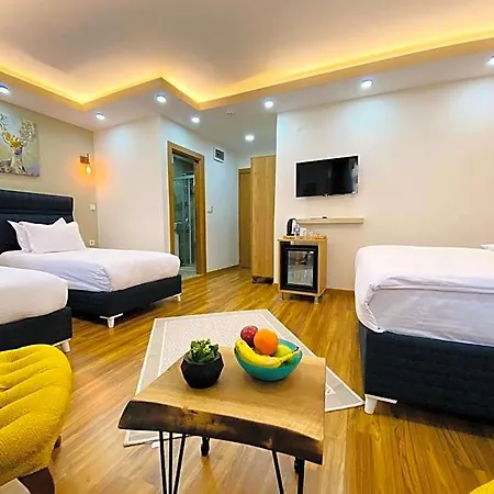 Hotel Palmera Art House